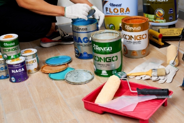 Những Yếu Tố Tạo Nên Một Lon Sơn Ringo Chất Lượng